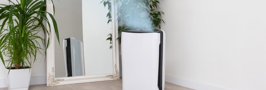 purificateur d'air